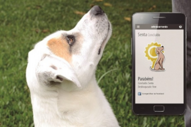 3 Ótimos Aplicativos para donos de cachorros e seus pets