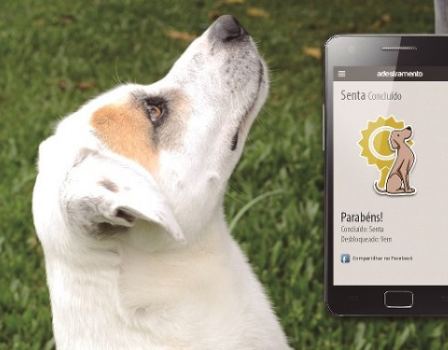 3 Ótimos Aplicativos para donos de cachorros e seus pets