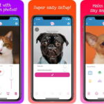 Aplicativo My Talking Pet seu cachorro fala para Android e IOS