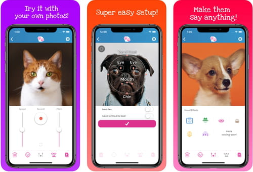 Aplicativo My Talking Pet seu cachorro fala para Android e IOS