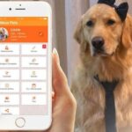 Aplicativos para donos de pet: facilitando os cuidados com animais