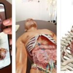 Aplicativos para aprender anatomia
